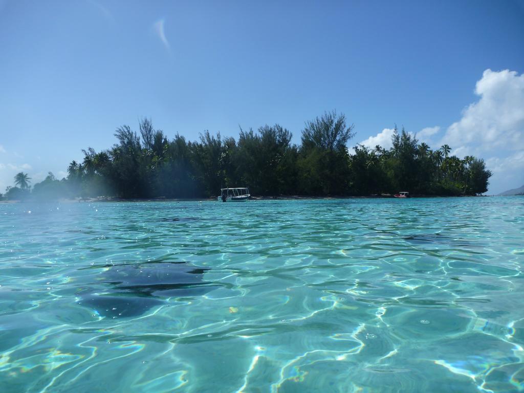 Fare Vaihere Moorea Ngoại thất bức ảnh